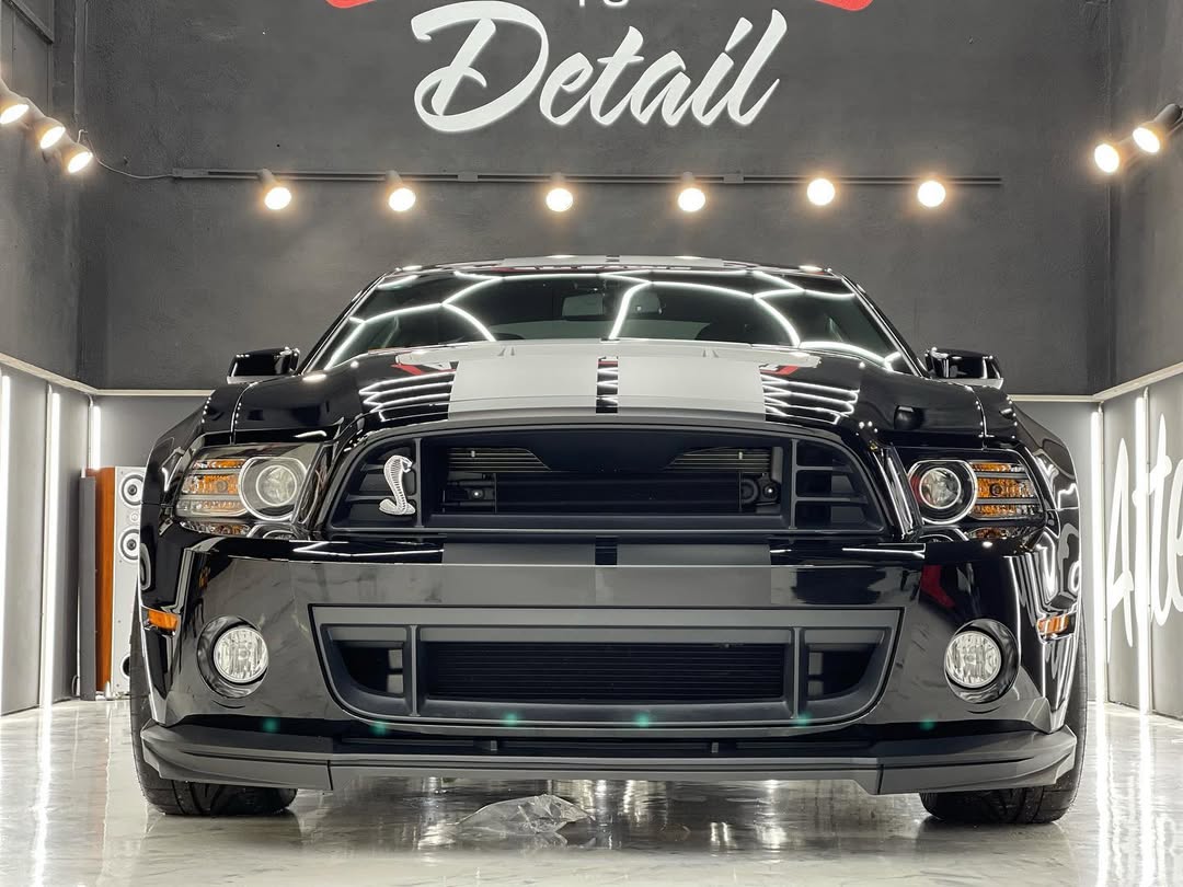 Paint correction result — deep glossy finish